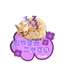 メルちゃん(^^)スタンプ（個別スタンプ：20）