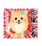 2021 1030 ポメラニアン まめこちゃん（個別スタンプ：5）