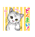 2021 1030 スコティッシュフォールド ムー（個別スタンプ：1）