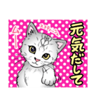 2021 1030 スコティッシュフォールド ムー（個別スタンプ：3）
