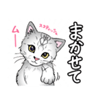 2021 1030 スコティッシュフォールド ムー（個別スタンプ：7）