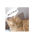 僕の名前はシュークリーム②（個別スタンプ：7）