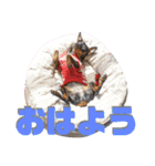 名犬サクちゃん7（個別スタンプ：1）