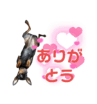 名犬サクちゃん7（個別スタンプ：5）