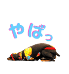 名犬サクちゃん7（個別スタンプ：10）