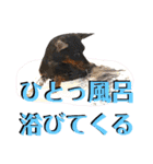 名犬サクちゃん7（個別スタンプ：37）