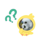 ゆきちゃんスタンプ11（個別スタンプ：2）