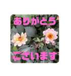 ゆきちゃんスタンプ11（個別スタンプ：12）