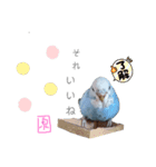 泉家 〜思いやりインコ〜（個別スタンプ：8）