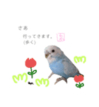 泉家 〜思いやりインコ〜（個別スタンプ：9）