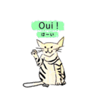 手書き 世界の猫 フランス語スタンプ（個別スタンプ：10）