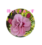 ゆきちゃんスタンプ9（個別スタンプ：16）