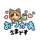 ラグドールもここ（個別スタンプ：16）