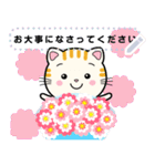 大人のかわいい猫メッセージスタンプ（個別スタンプ：11）