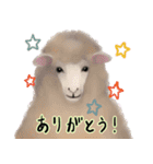 ほんわか可愛い動物たち（個別スタンプ：1）