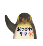 ほんわか可愛い動物たち（個別スタンプ：5）