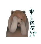 ほんわか可愛い動物たち（個別スタンプ：15）