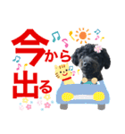 トイプのモコちゃん2（個別スタンプ：3）