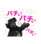 トイプのモコちゃん2（個別スタンプ：28）