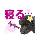 トイプのモコちゃん2（個別スタンプ：30）