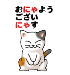 猫猫敬語 01（個別スタンプ：1）