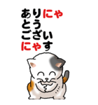 猫猫敬語 01（個別スタンプ：2）