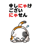 猫猫敬語 01（個別スタンプ：5）