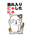 猫猫敬語 01（個別スタンプ：7）