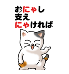 猫猫敬語 01（個別スタンプ：11）