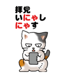 猫猫敬語 01（個別スタンプ：19）