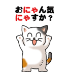 猫猫敬語 01（個別スタンプ：21）