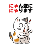 猫猫敬語 01（個別スタンプ：24）