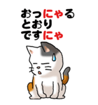 猫猫敬語 01（個別スタンプ：25）