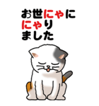 猫猫敬語 01（個別スタンプ：29）