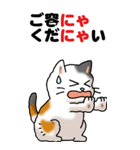 猫猫敬語 01（個別スタンプ：31）