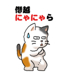 猫猫敬語 01（個別スタンプ：33）