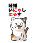猫猫敬語 01（個別スタンプ：34）