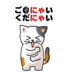 猫猫敬語 01（個別スタンプ：36）