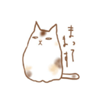 ゆるい三毛猫さん（個別スタンプ：1）