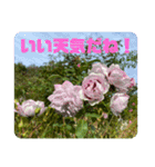 ゆきちゃんスタンプ8（個別スタンプ：4）