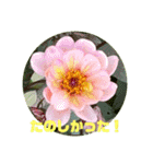 ゆきちゃんスタンプ8（個別スタンプ：9）