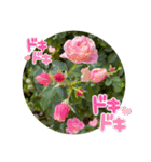 ゆきちゃんスタンプ8（個別スタンプ：12）