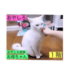 ガッシー1階ねこーず2021冬バージョン（個別スタンプ：2）