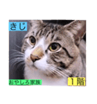 ガッシー1階ねこーず2021冬バージョン（個別スタンプ：3）