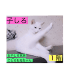 ガッシー1階ねこーず2021冬バージョン（個別スタンプ：4）