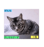 ガッシー1階ねこーず2021冬バージョン（個別スタンプ：5）