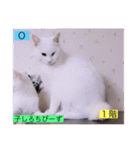 ガッシー1階ねこーず2021冬バージョン（個別スタンプ：6）