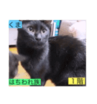 ガッシー1階ねこーず2021冬バージョン（個別スタンプ：9）