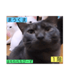 ガッシー1階ねこーず2021冬バージョン（個別スタンプ：10）