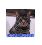 ガッシー1階ねこーず2021冬バージョン（個別スタンプ：15）